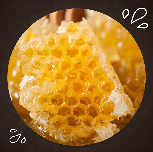 Honey-Comb-1