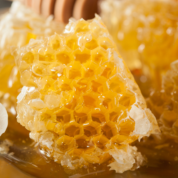 Honey-Comb